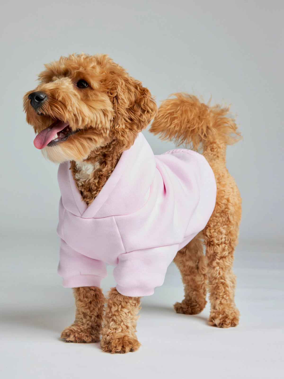 Sudadera Minimalista con Diseño de Patas