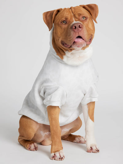 Sudadera Minimalista con Diseño de Patas