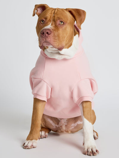 Sudadera con Diseño de Patas en Tonos Pastel
