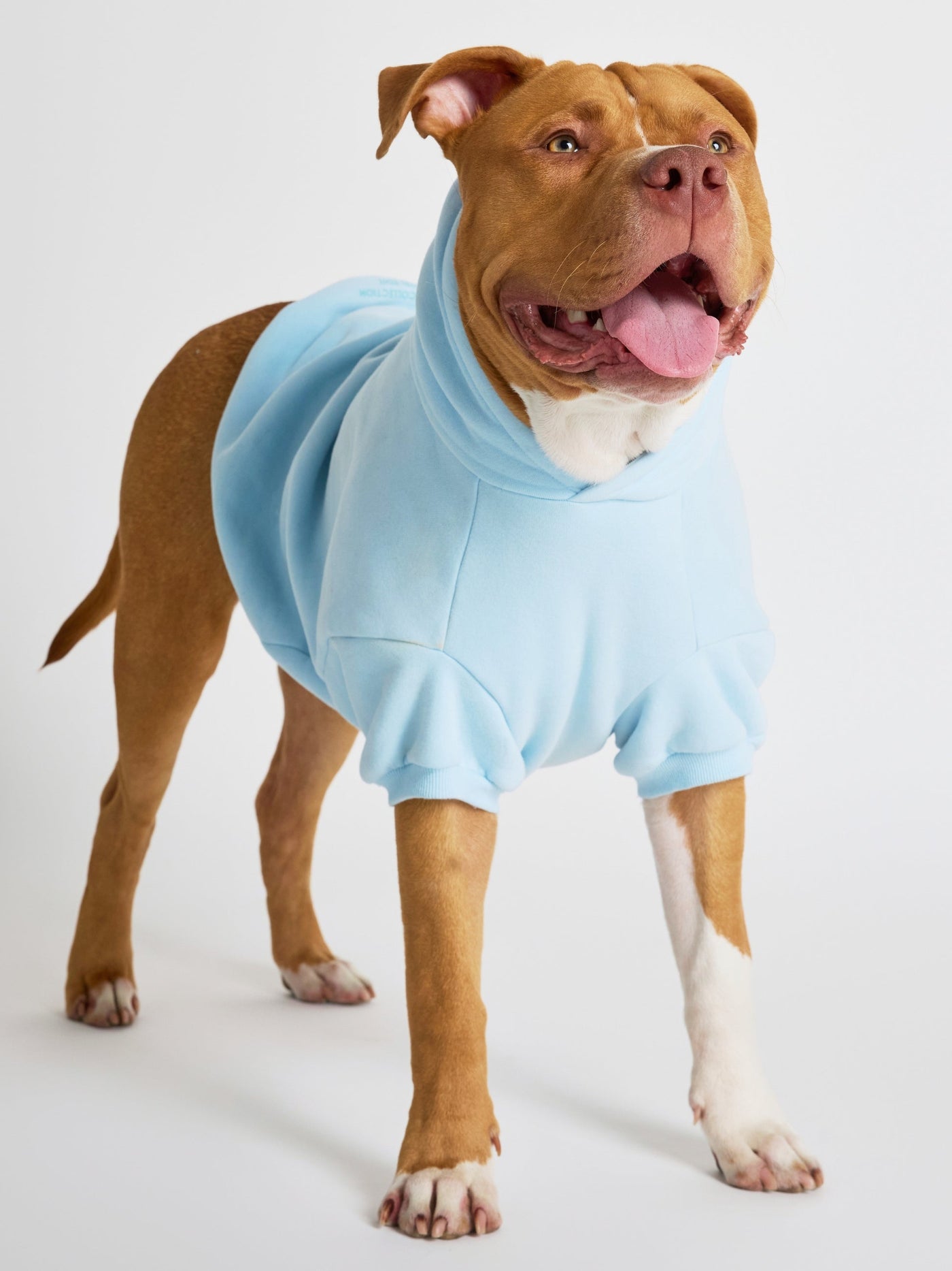 Sudadera con Diseño de Patas en Tonos Pastel