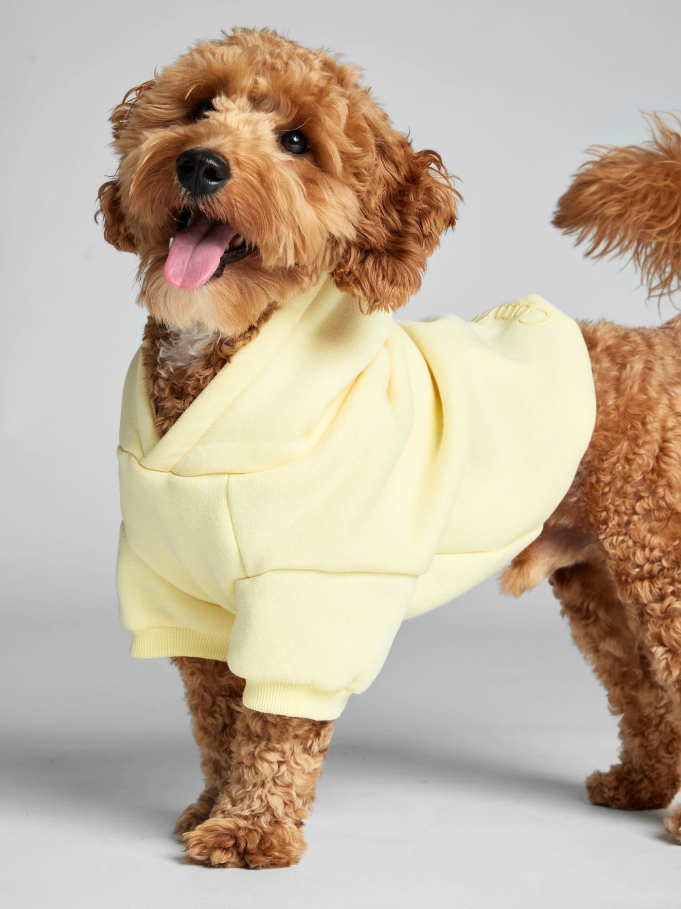 Sudadera Minimalista con Diseño de Patas