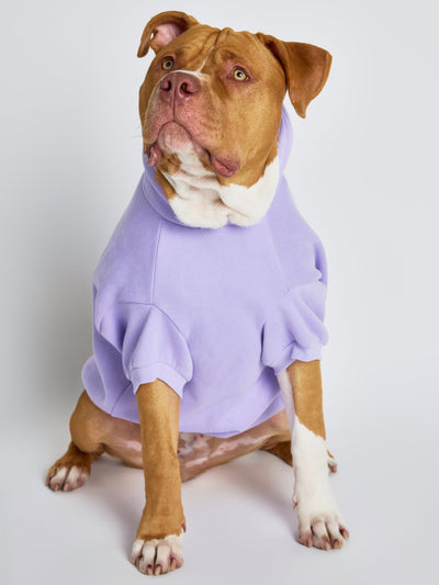 Sudadera con Diseño de Patas en Tonos Pastel