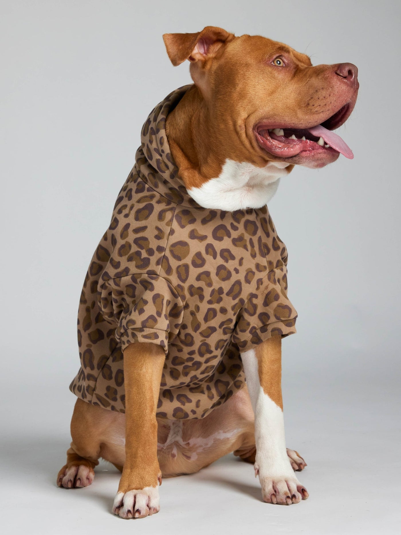 Sudadera Minimalista con Diseño de Patas