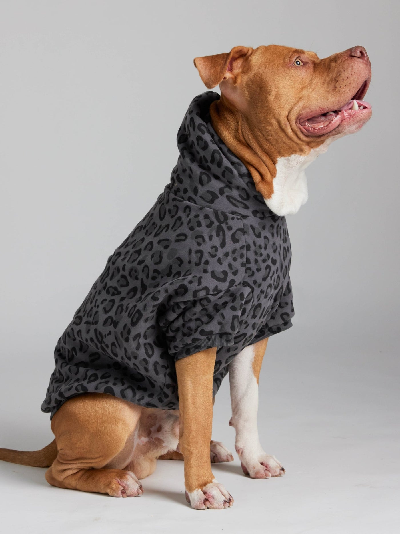 Sudadera Minimalista con Diseño de Patas