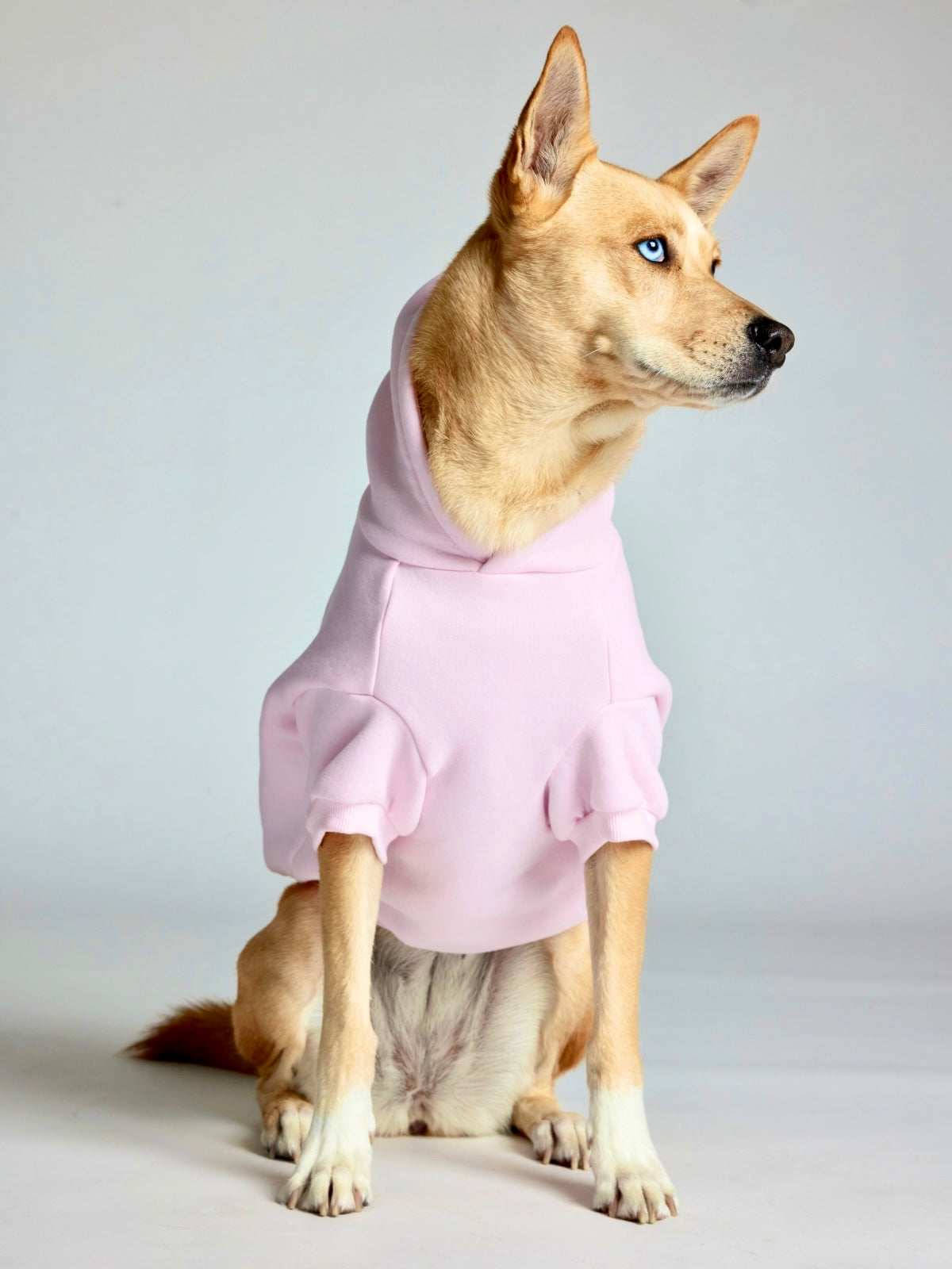 Sudadera Minimalista con Diseño de Patas