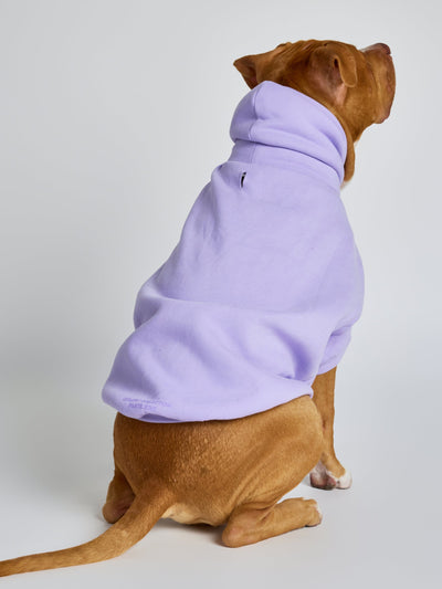 Sudadera con Diseño de Patas en Tonos Pastel