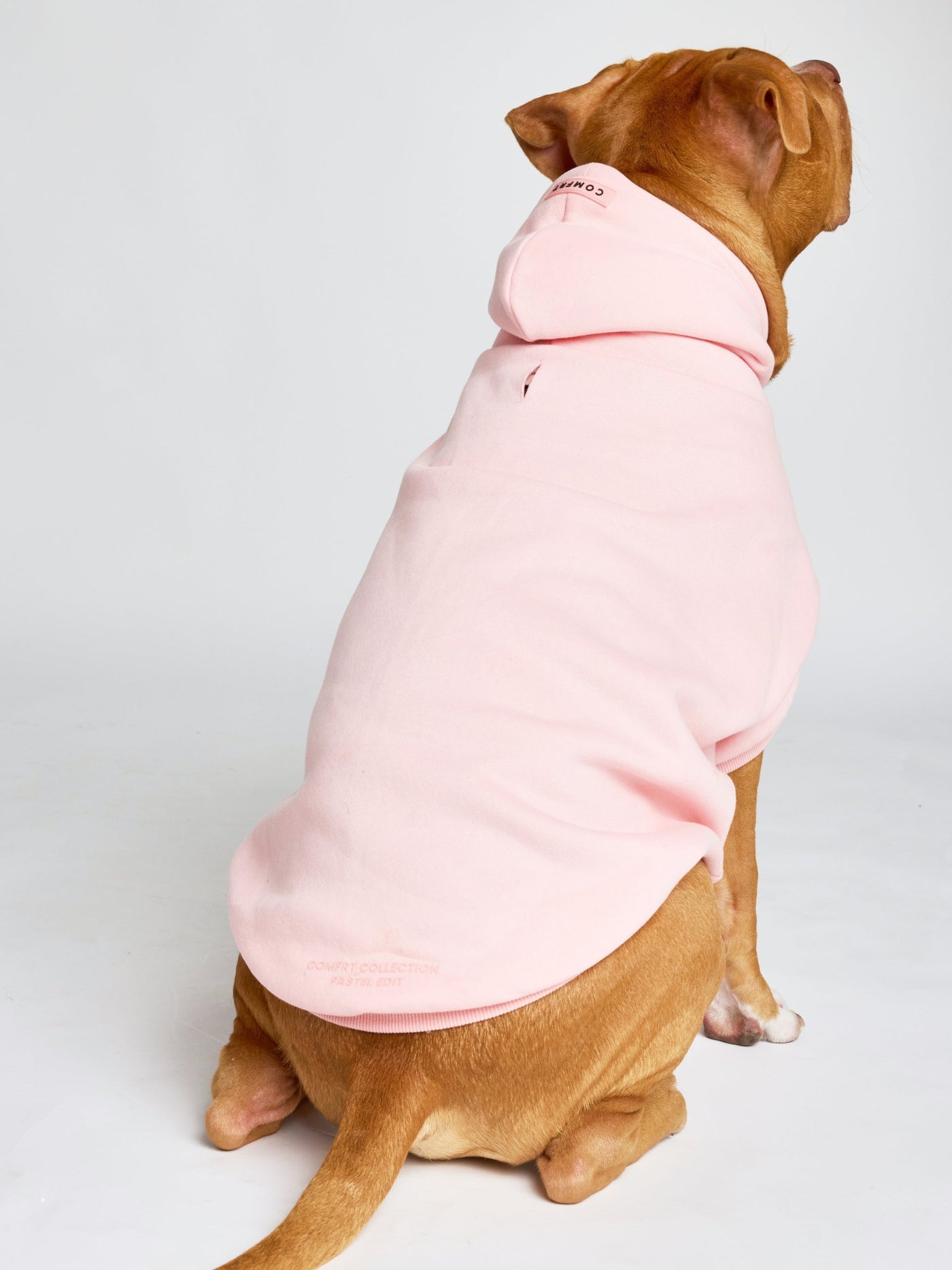 Sudadera con Diseño de Patas en Tonos Pastel