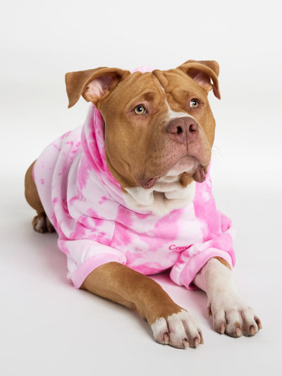 Sudadera Minimalista con Diseño de Patas