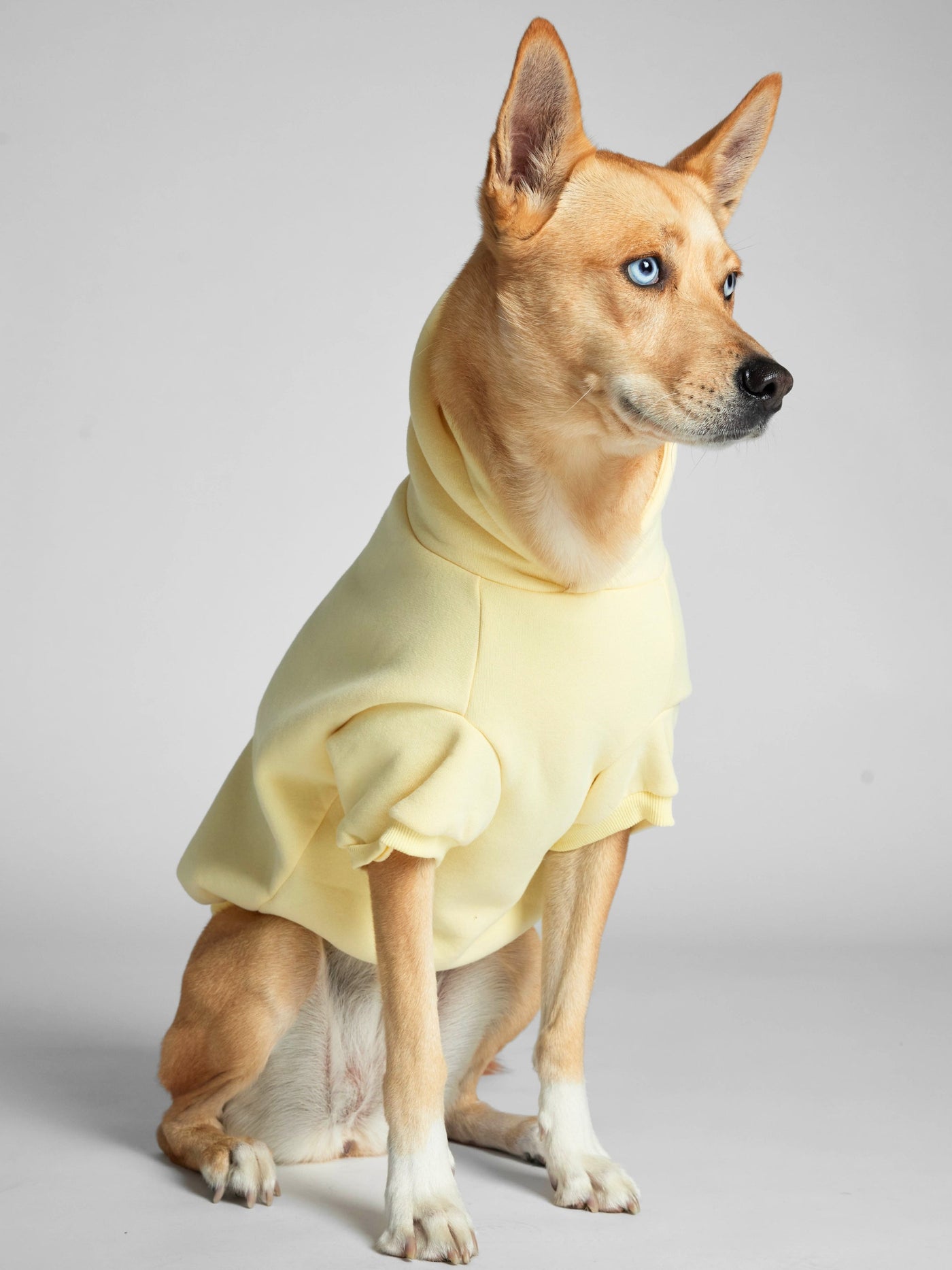 Sudadera Minimalista con Diseño de Patas