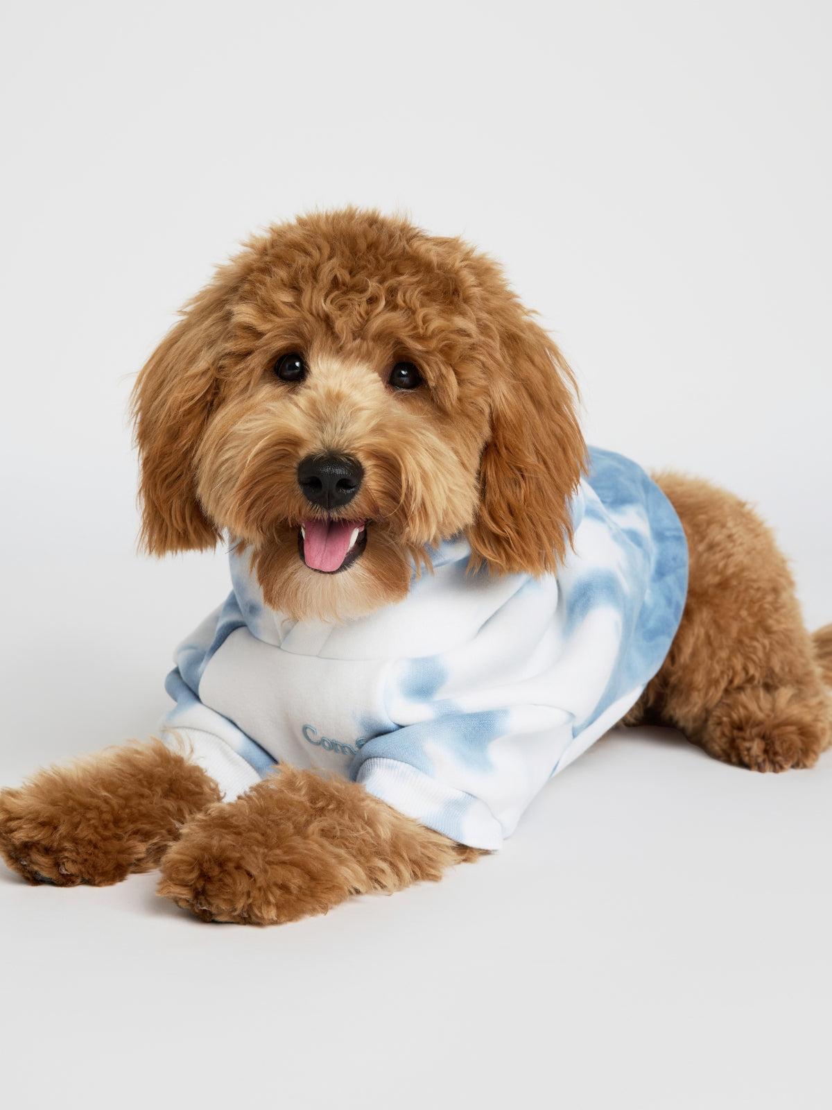 Sudadera Minimalista con Diseño de Patas