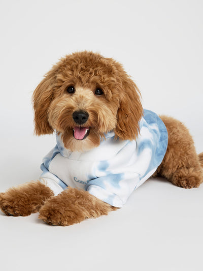 Sudadera Minimalista con Diseño de Patas