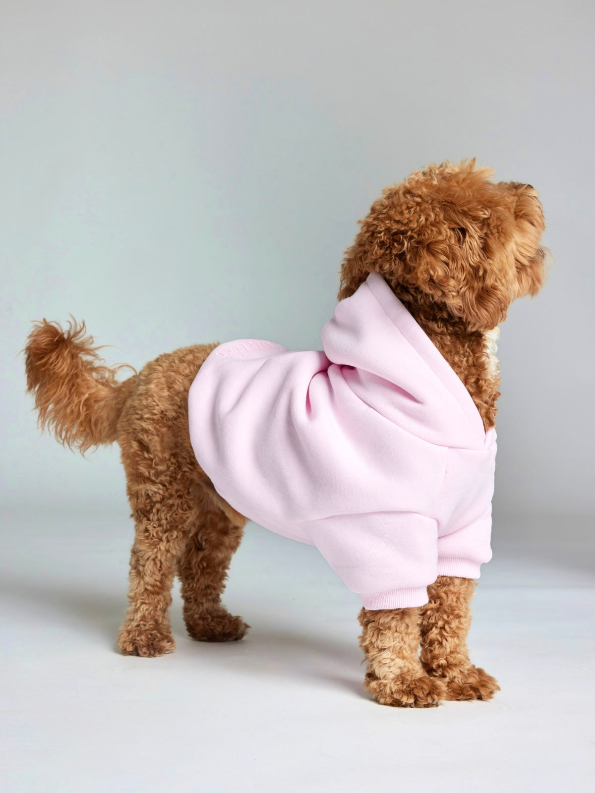 Sudadera Minimalista con Diseño de Patas