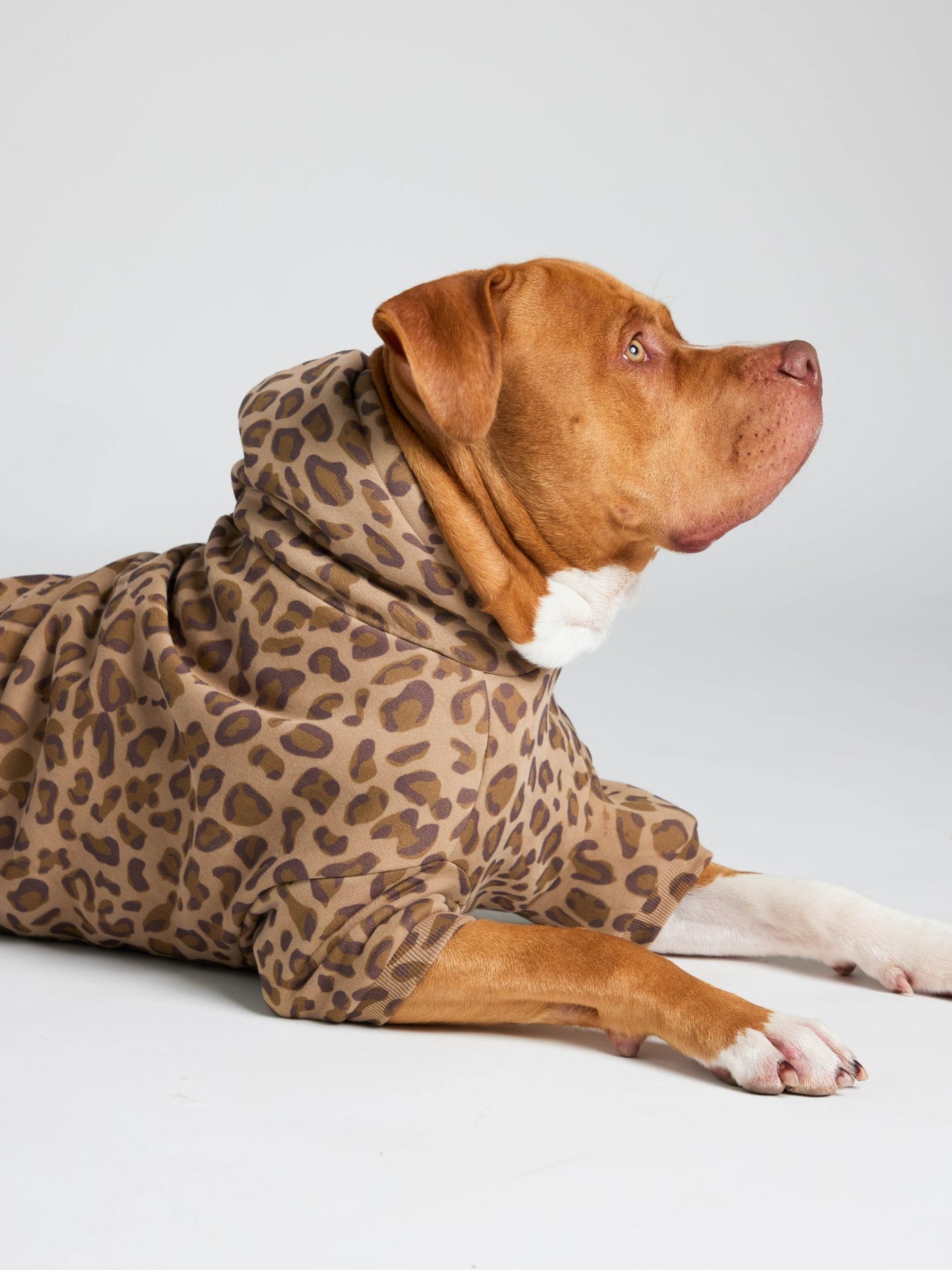 Sudadera Minimalista con Diseño de Patas