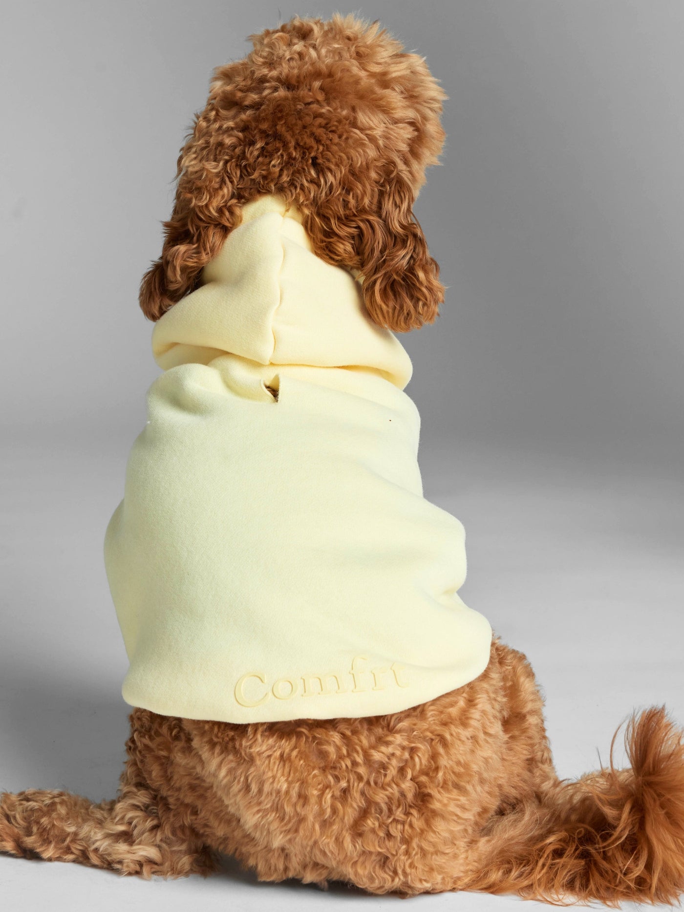 Sudadera Minimalista con Diseño de Patas