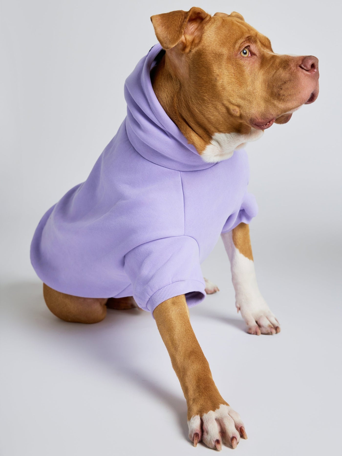Sudadera con Diseño de Patas en Tonos Pastel