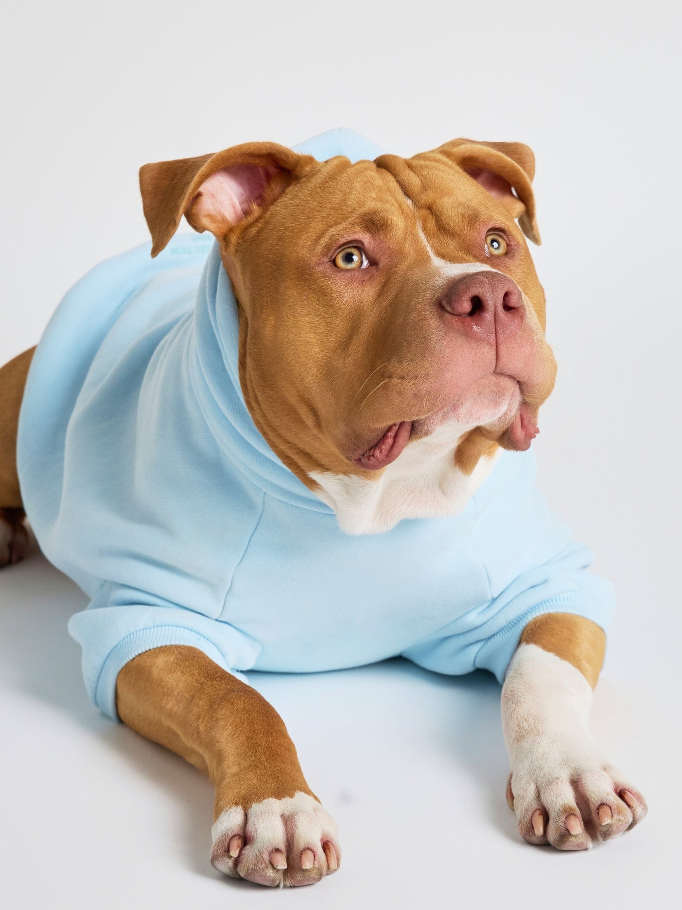 Sudadera con Diseño de Patas en Tonos Pastel