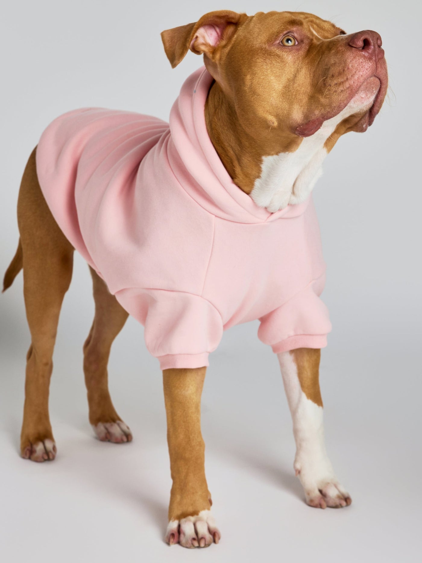 Sudadera con Diseño de Patas en Tonos Pastel
