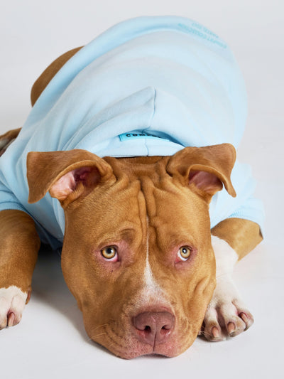 Sudadera con Diseño de Patas en Tonos Pastel