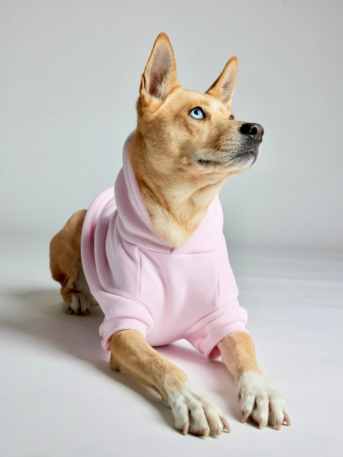 Sudadera Minimalista con Diseño de Patas