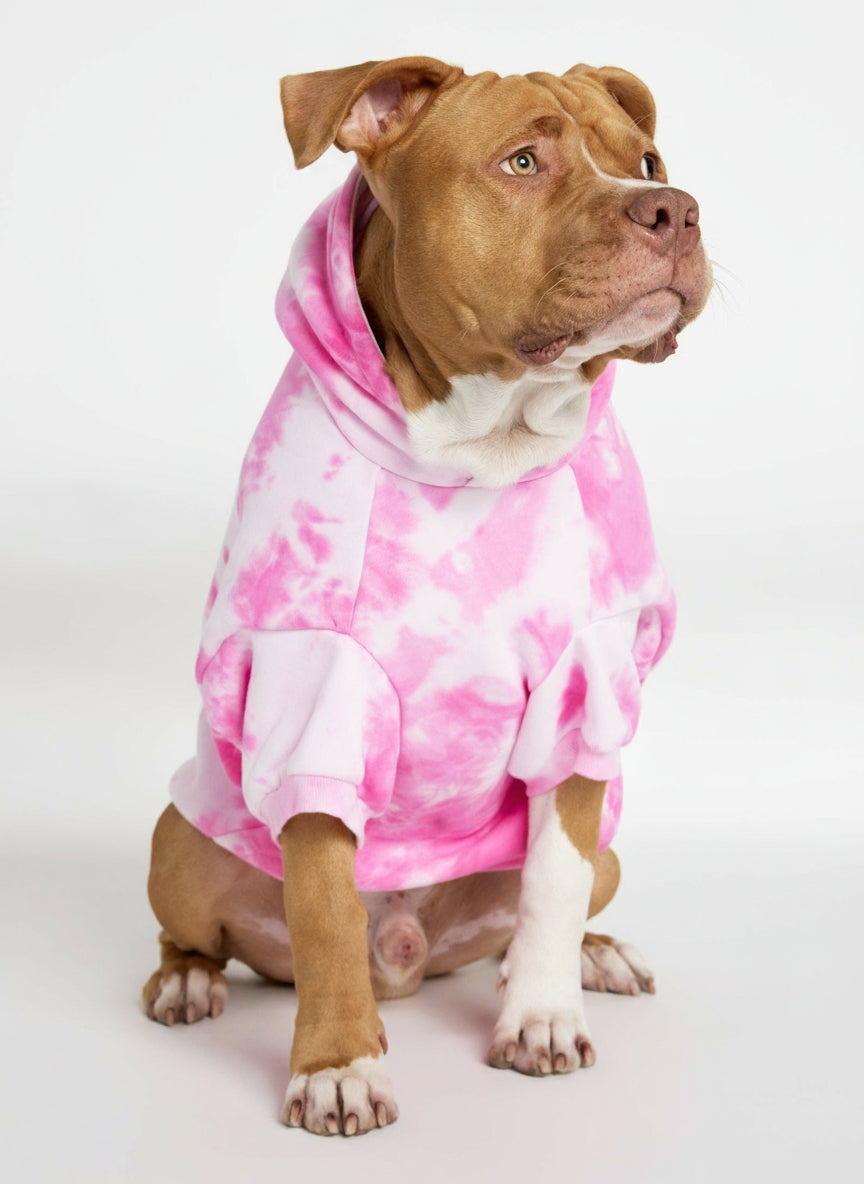 Sudadera Minimalista con Diseño de Patas