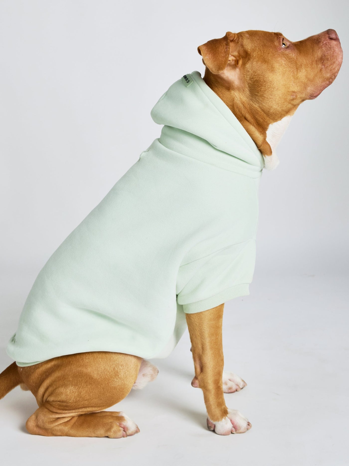 Sudadera con Diseño de Patas en Tonos Pastel