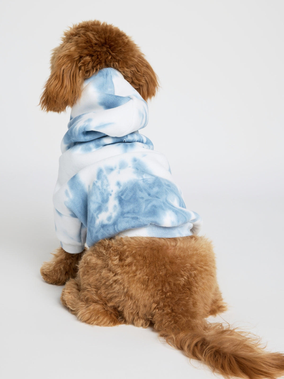 Sudadera Minimalista con Diseño de Patas