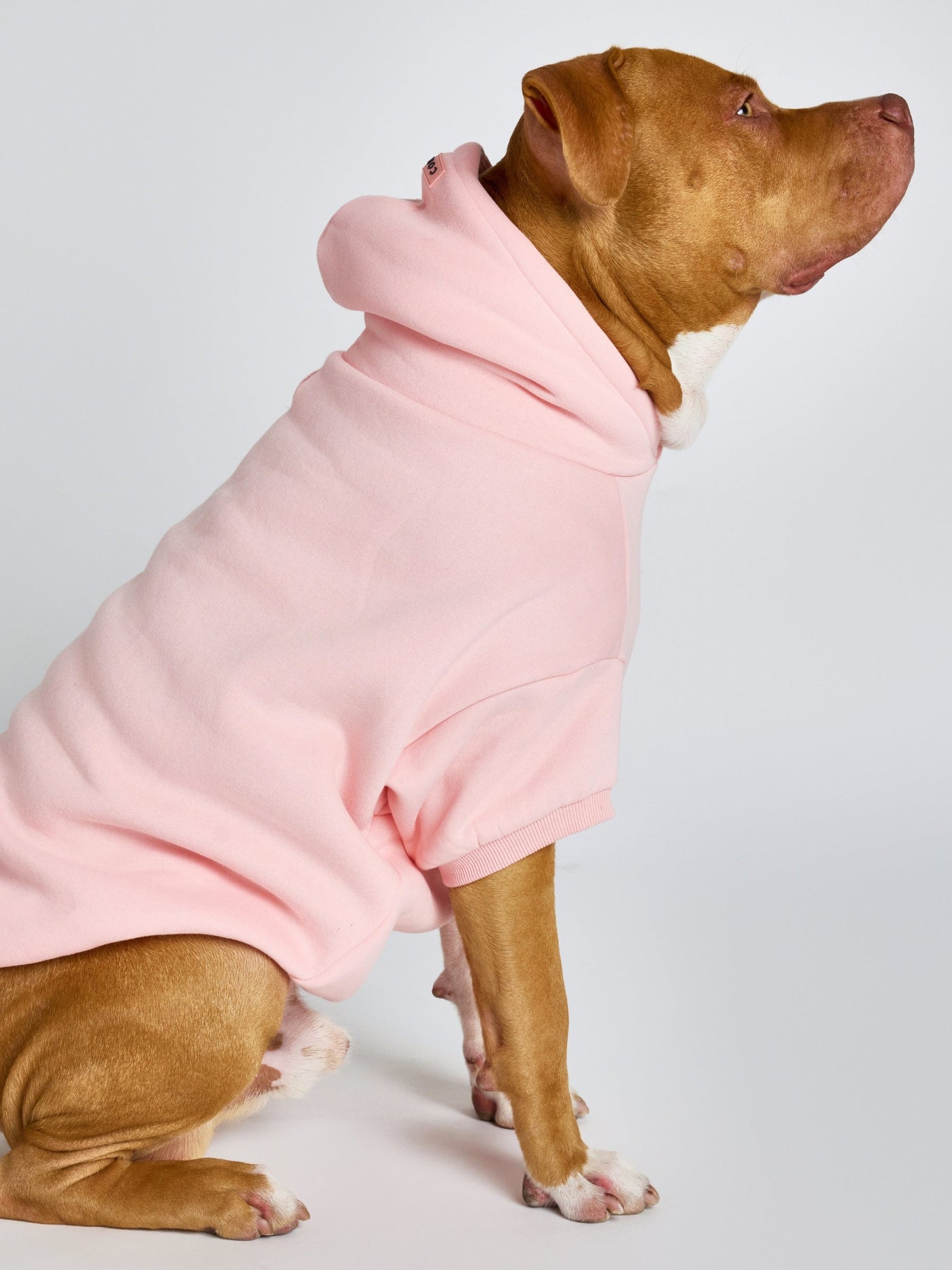 Sudadera con Diseño de Patas en Tonos Pastel