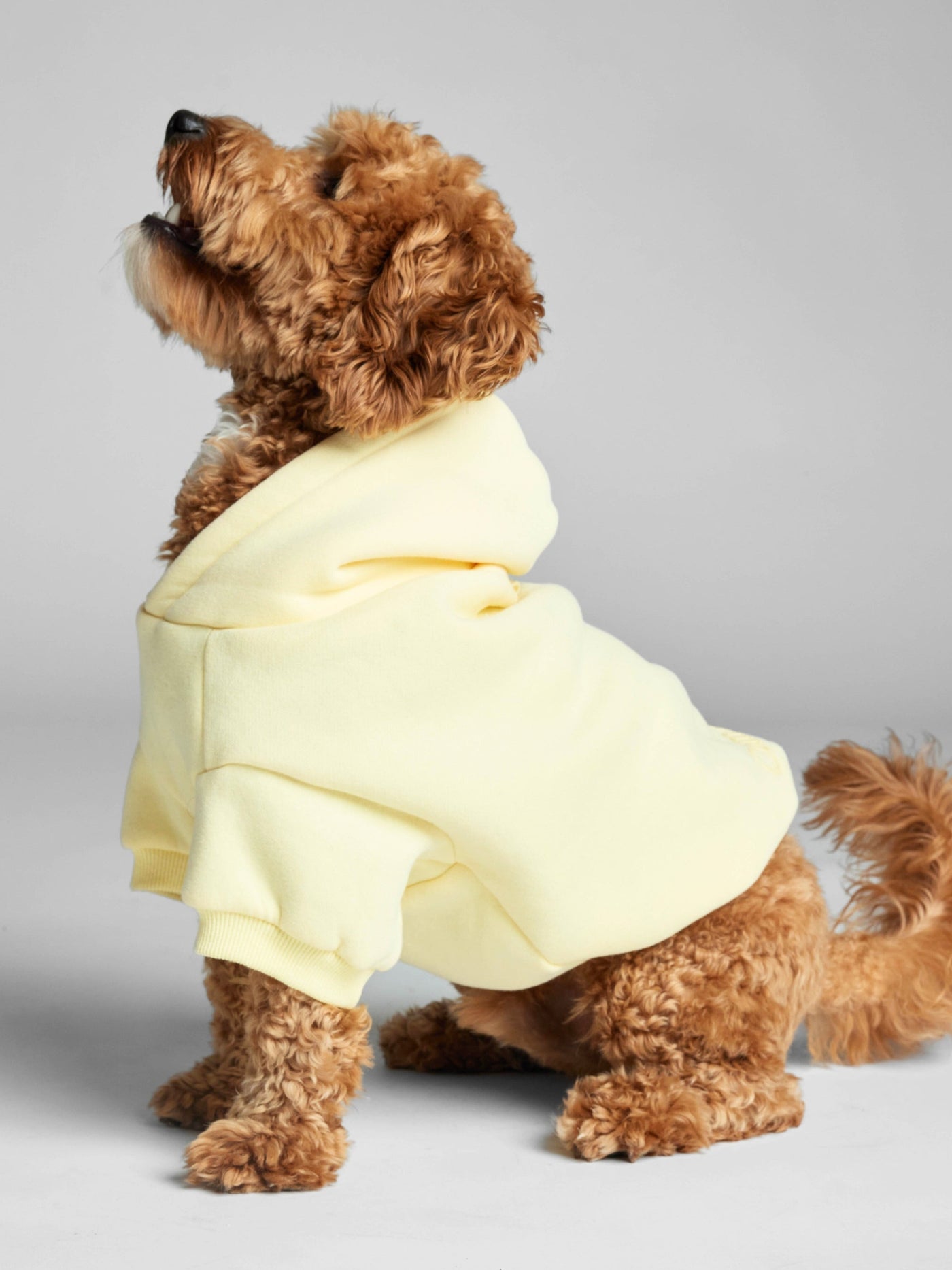 Sudadera Minimalista con Diseño de Patas