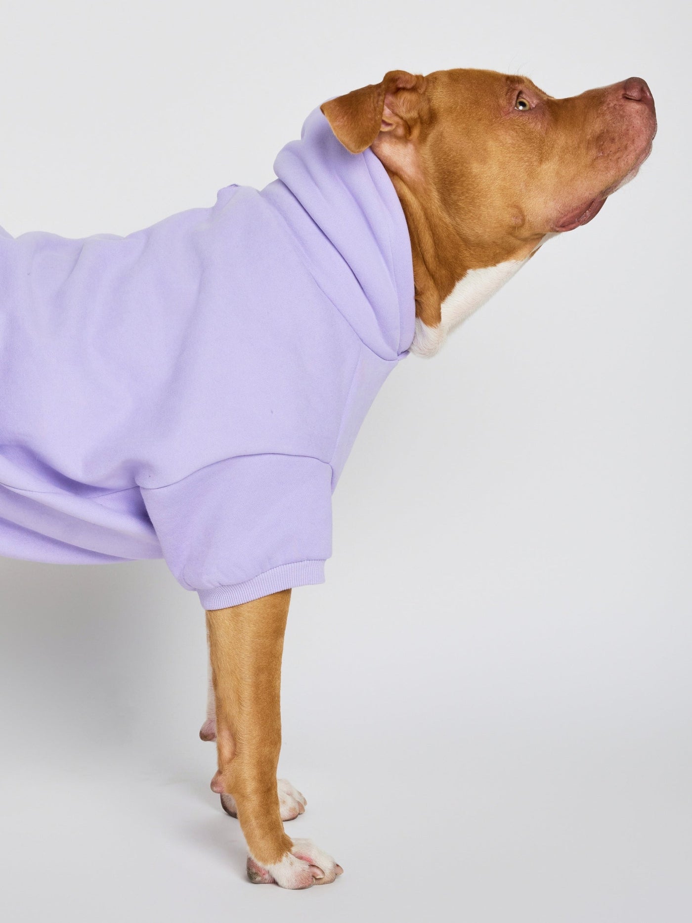 Sudadera con Diseño de Patas en Tonos Pastel