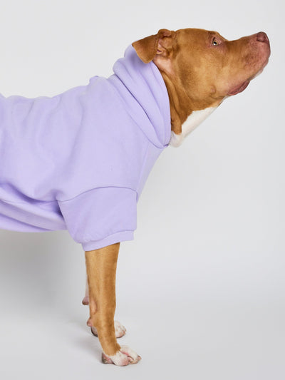 Sudadera con Diseño de Patas en Tonos Pastel