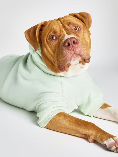 Sudadera con Diseño de Patas en Tonos Pastel