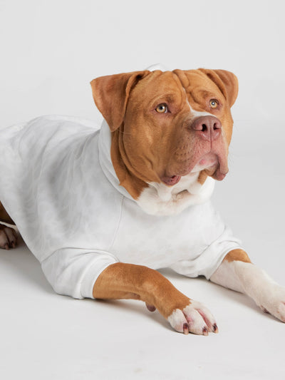 Sudadera Minimalista con Diseño de Patas