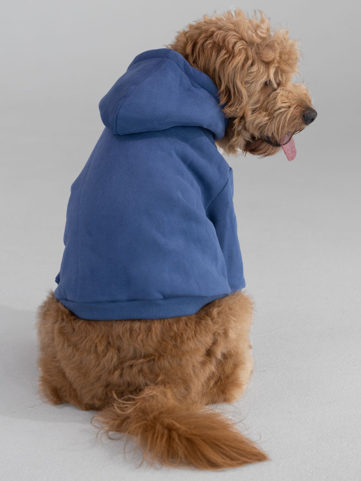 Sudadera Clásica para Mascotas