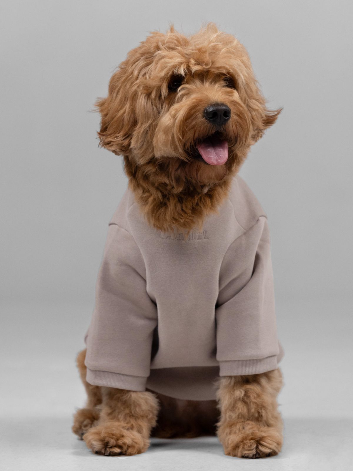 Sudadera con Capucha Firmada de Patita