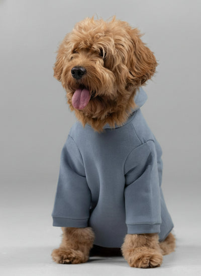 Sudadera con Capucha Firmada de Patita