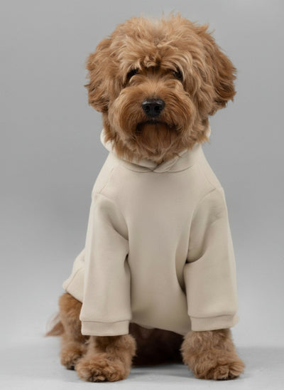 Sudadera con Capucha Firmada de Patita